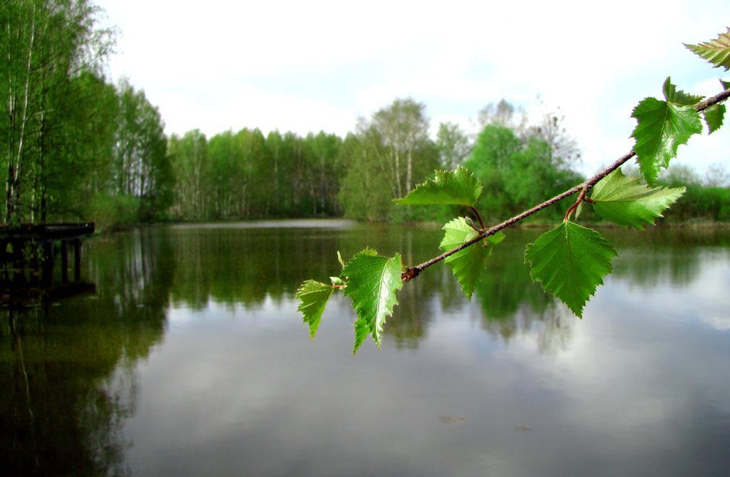 Haemeenkylaen Kartano Vantaa Exteriér fotografie